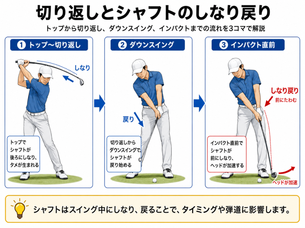 ゴルフスイングの切り返しとシャフトのしなり戻り